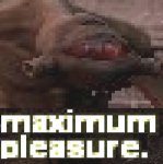 maxpleasure.jpg