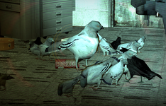 big bird.png