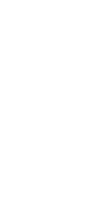 d1.png