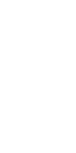 ff2.png