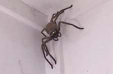 1603741150093.png 1603741150093.png