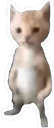 Tino.png