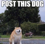 1608474061798.png