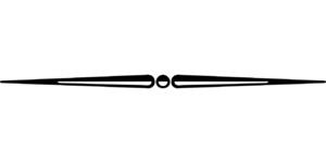 line-divider-transparent-16 (1).png