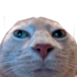 1609456017044.png