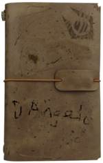 D'Angelo Journal.png
