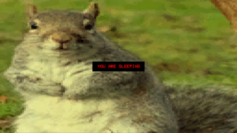 YOUARESLEEPING.png