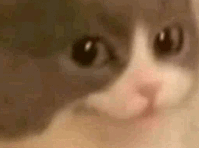 1650823531514.png 1650823531514.png