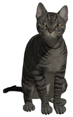 1650845215905.png