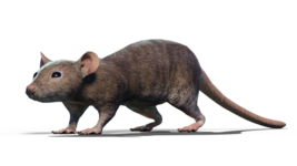 8410a859370dc361b0e4dfca660201f4c4eaecdf.png