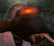 1652279141997.png