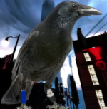 BirbFren.PNG