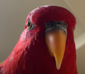 1656355694910.png