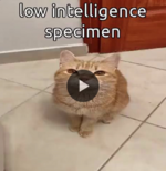 1657643354496.png
