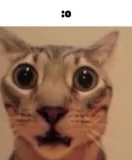 1658032404425.png
