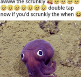 scrunkel.png