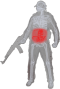 Char_stomach.png Char_stomach.png