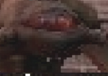 Screenshot_2022-08-02_185159.png