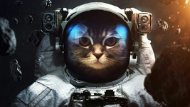 1663418625776.png