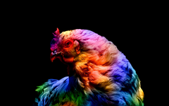 1663516291978.png