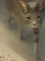 1665504164515.png