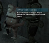1666456432343.png