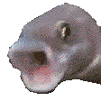 1667085894715.png