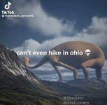 1667259200258.png 1667259200258.png