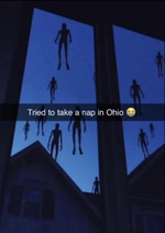 1667309546060.png 1667309546060.png