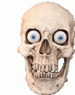 1667312711497.png