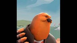 berd.jpg