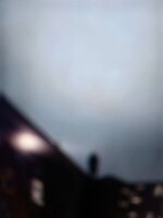 fog_man_sighting_in_c24.jpg