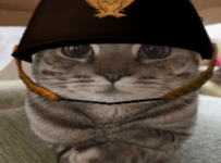 cat28th.png cat28th.png