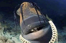 1673977165870.png