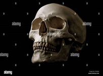 1675887819827.png