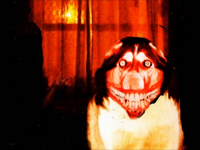1676191719119.png 1676191719119.png