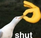 51E86F0E-BD4C-44B9-8F57-9201E47D3CCA.png