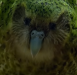 1677064542034.png