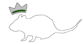 RatKingsMark2.png