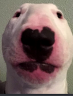 1678775230597.png