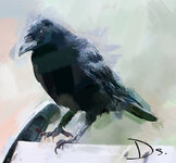 Crowssant 2.jpg Crowssant 2.jpg