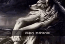 1679184774790.png