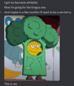 this is me.PNG