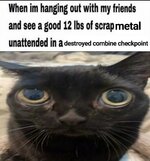 combine-transformed.jpeg