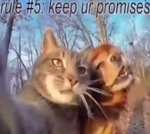 1682247197053.png