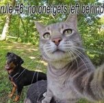 Screenshot_20230423-210926_Chrome.jpg
