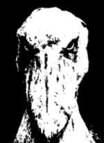 1682724715936.png