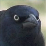 1682752578788.png
