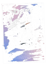 torn poster.png