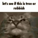 1685768234228.png 1685768234228.png